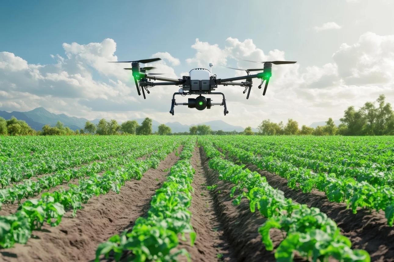 agriculture